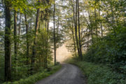 Albisgrat H Henweg Sch Ne Wanderung Vom Uetliberg Zum Albispass