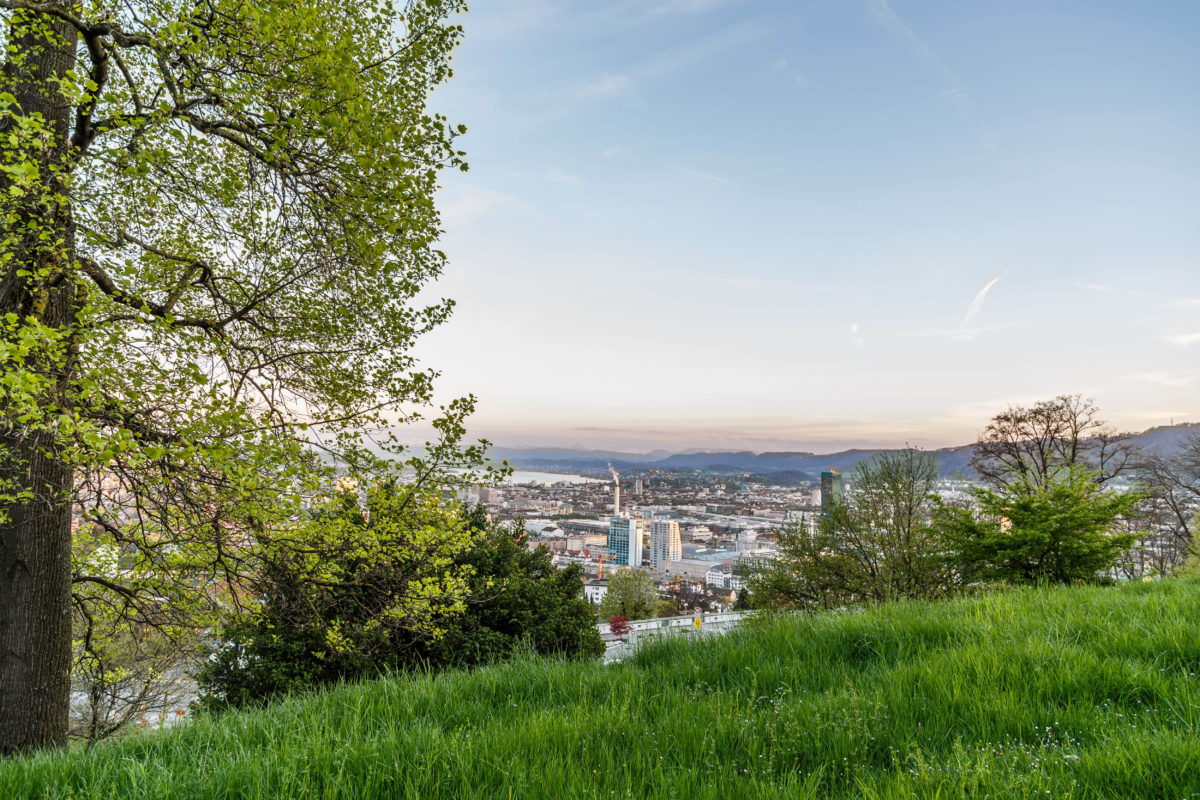 Aussichtspunkt über Zürich