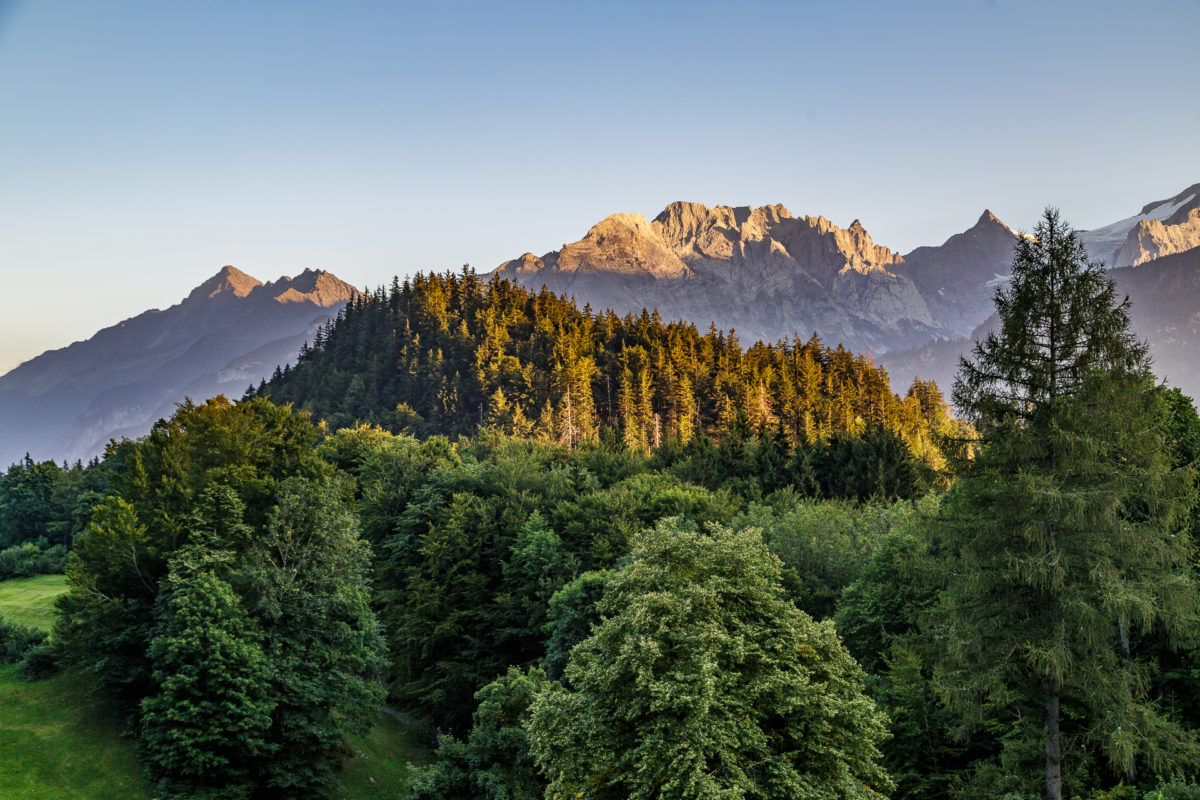 Hotel Wetterhorn - aussichtsreiche Auszeit in Hasliberg ...