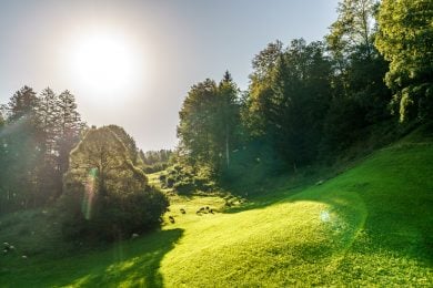 Sardona-Welterbe-Weg: Wanderung Talalpsee - Spaneggsee ...