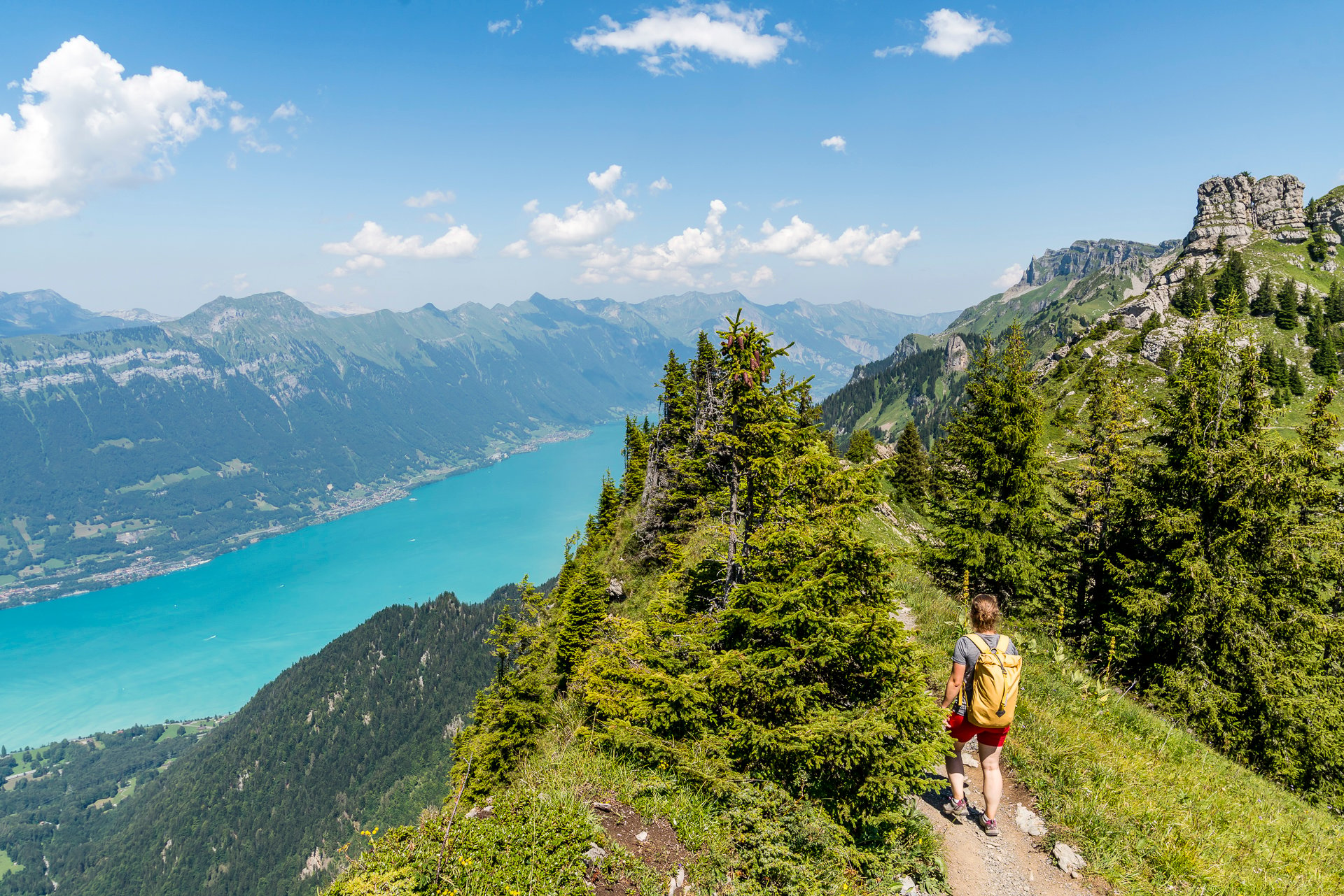 Schynige Platte Panoramawanderung - top Ausflugsziel bei Interlaken