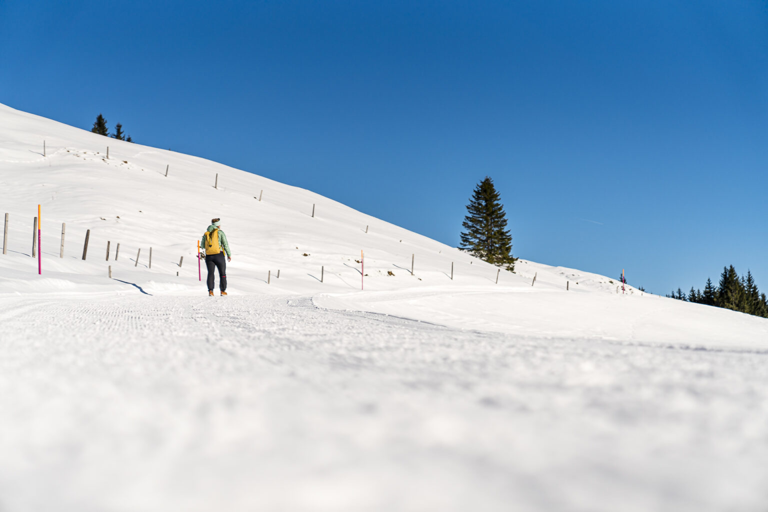 Wintersafari Klewenalp: Leichte Winterwanderung Am Vierwaldstättersee