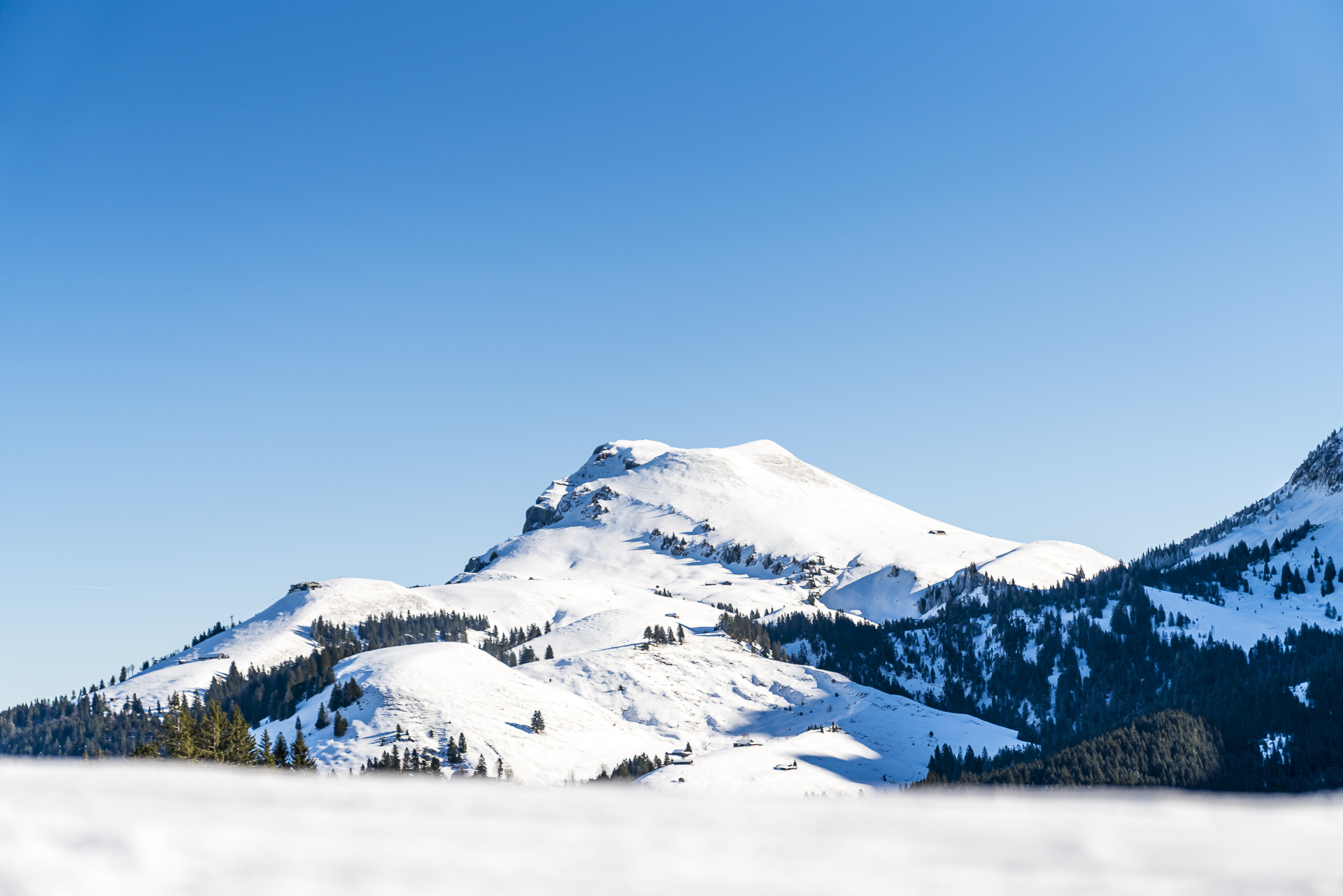 Wintersafari Klewenalp: Leichte Winterwanderung Am Vierwaldstättersee