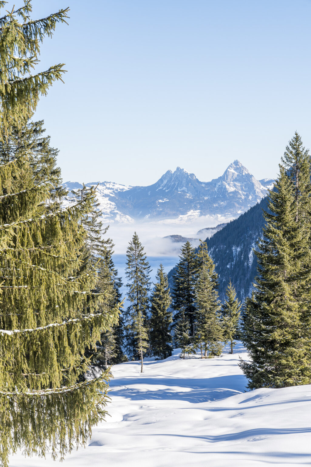 Wintersafari Klewenalp: Leichte Winterwanderung Am Vierwaldstättersee