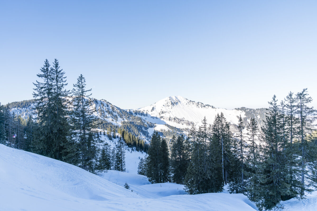 Wintersafari Klewenalp: Leichte Winterwanderung Am Vierwaldstättersee