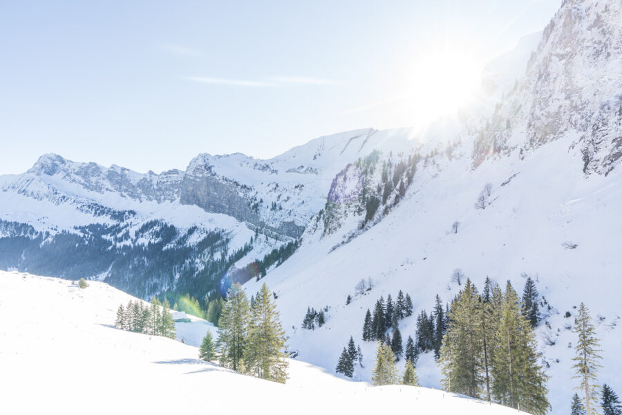 Wintersafari Klewenalp: Leichte Winterwanderung Am Vierwaldstättersee