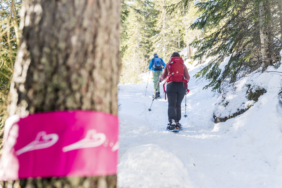 Sulwald Trail Schneeschuhwandern