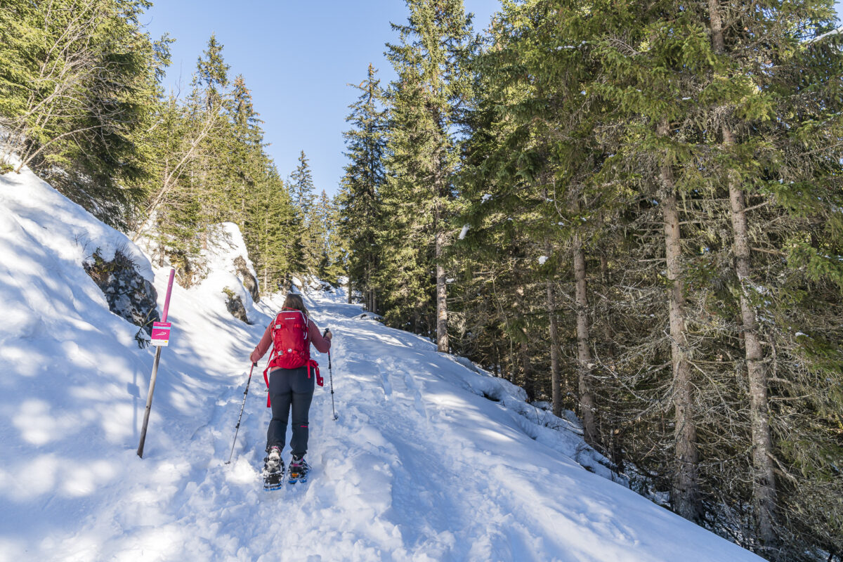 Schneeschuhtour in Sulwald