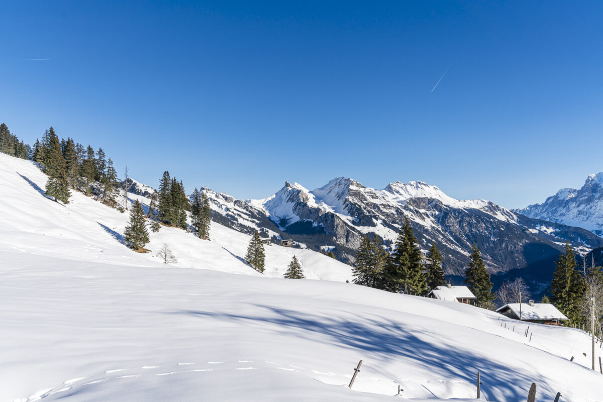 Panorama Sulwald