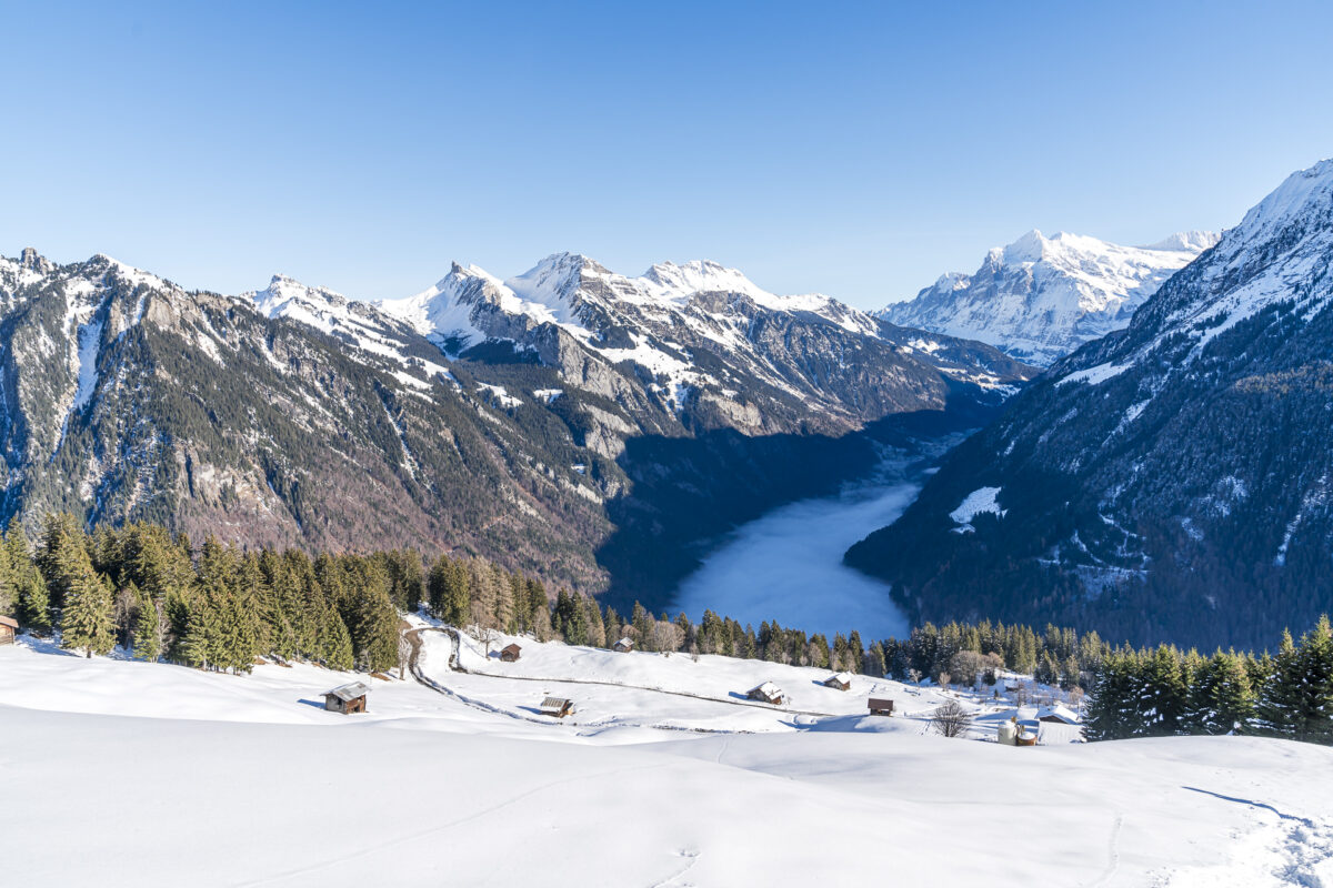 Sulwald Nebelmeer