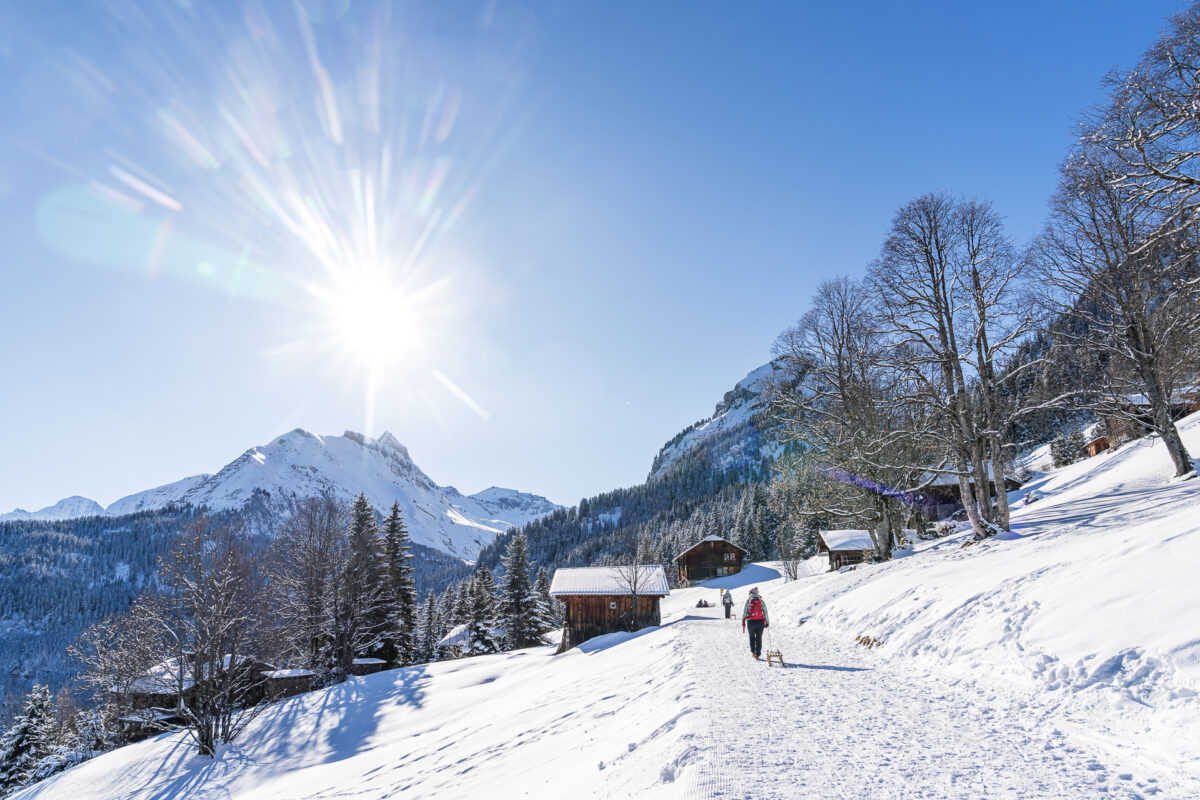 Sulwald Winter