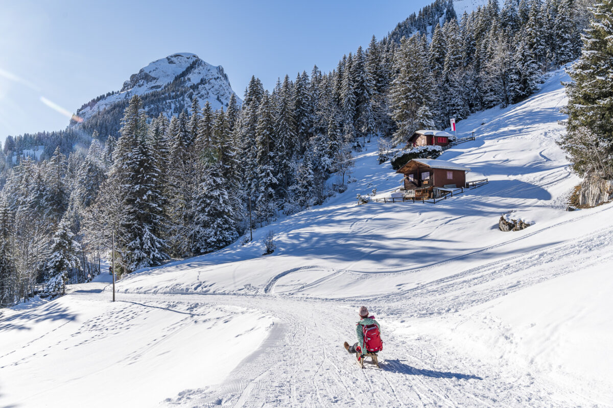 Schlitteln Sulwald