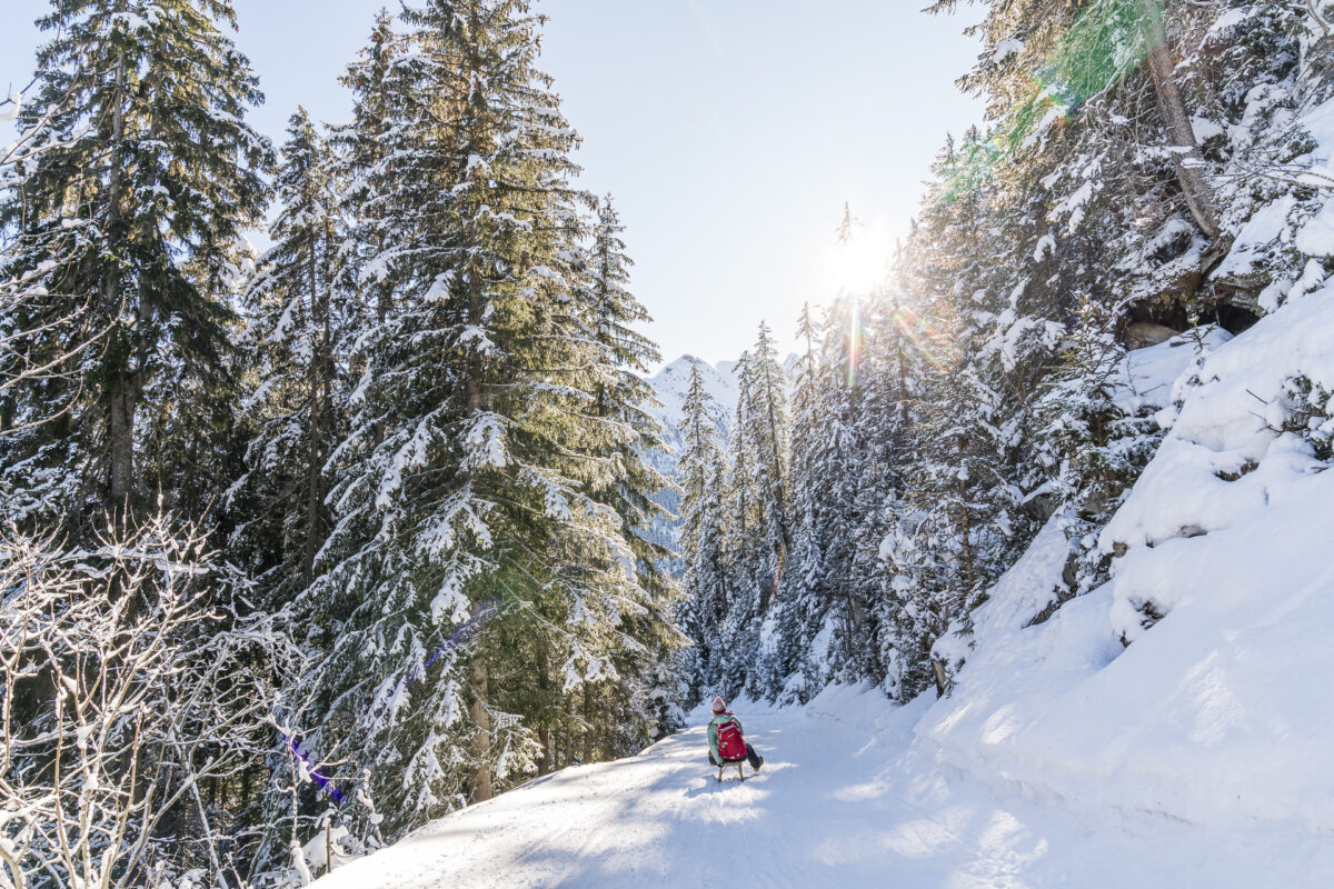 Sulwald Isenfluh Schlitteln