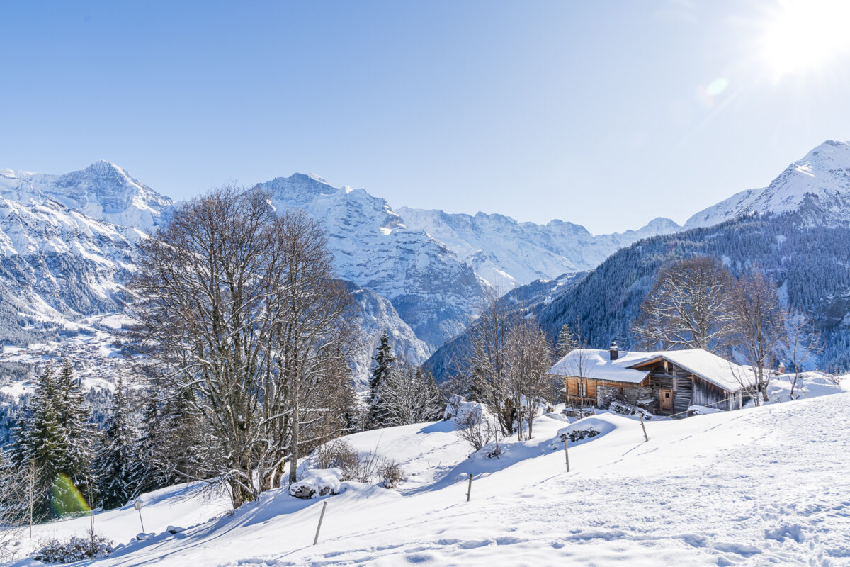 Sulwald im Winter