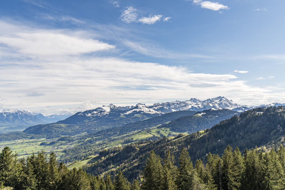 Aussicht vom Alpenhof Oberegg