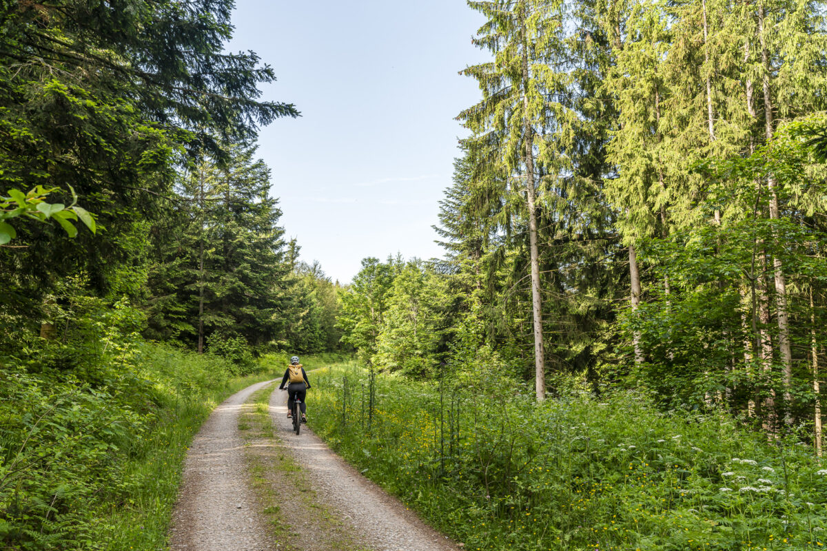 E-Bike-Tour im Schwarzwald