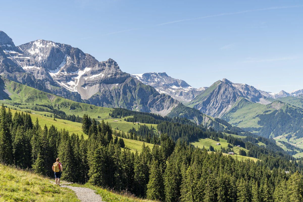 Panorama Höhenweg Elsigenalp