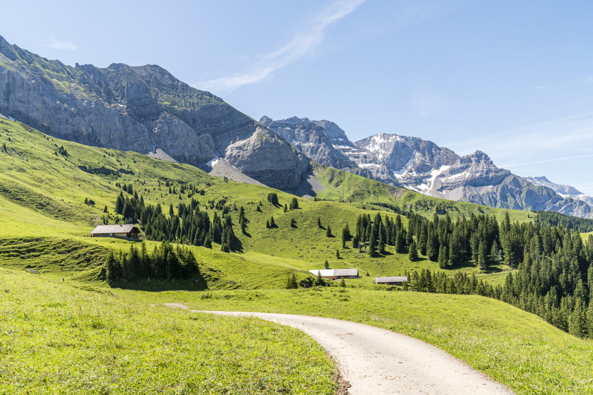 Alp Metsch Wanderweg