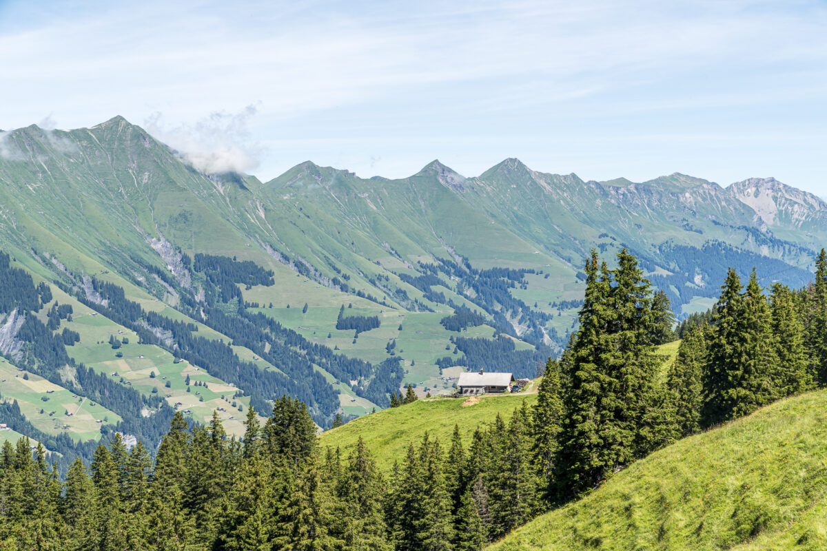 Panorama Alp Metsch