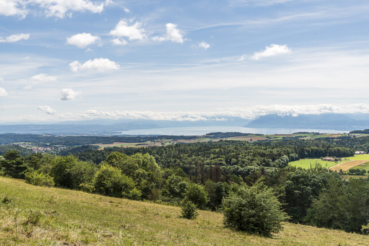 Blick über den Genfersee