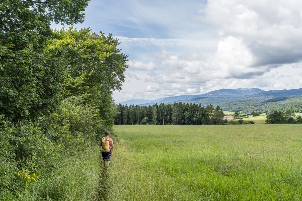 Wanderweg nach Longirod