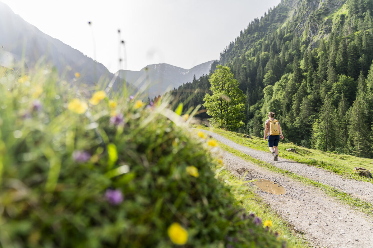 Wanderung Gerstruben Alpen