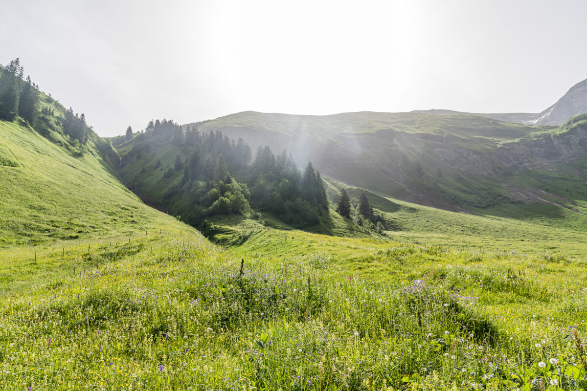 Gerstruben Alpen Oberstdorf