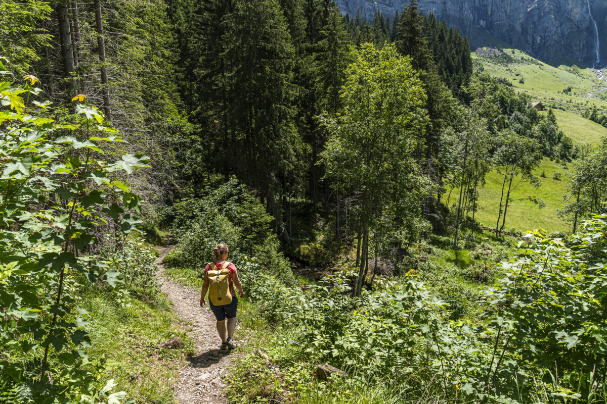 Via Alpina nach Adelboden