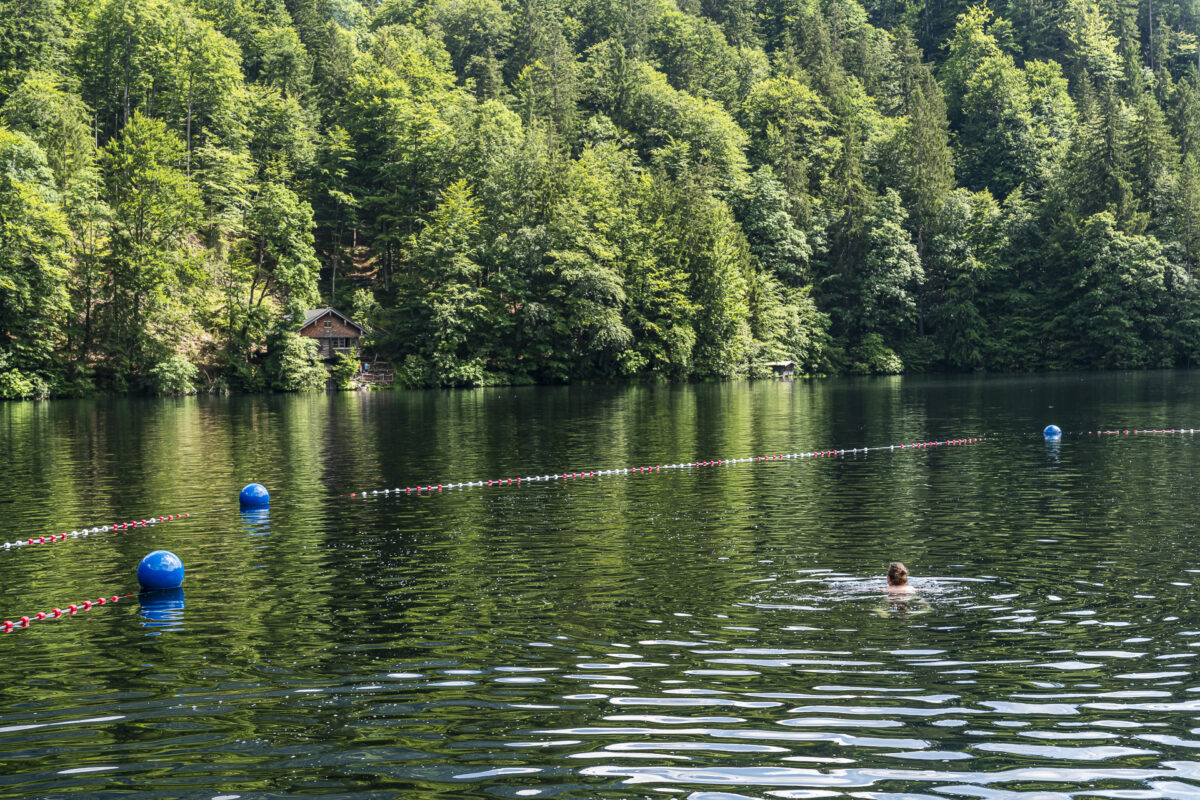 Naturbad Freibergsee