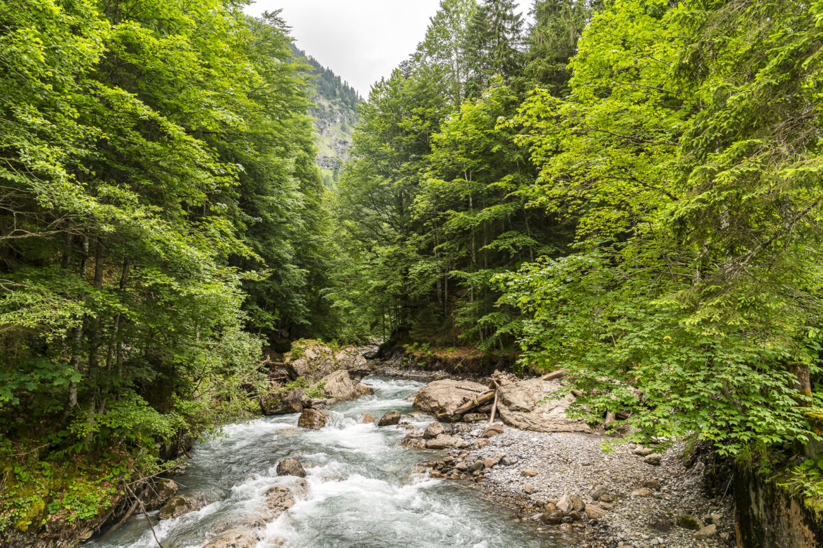 Rappenalptal Fluss