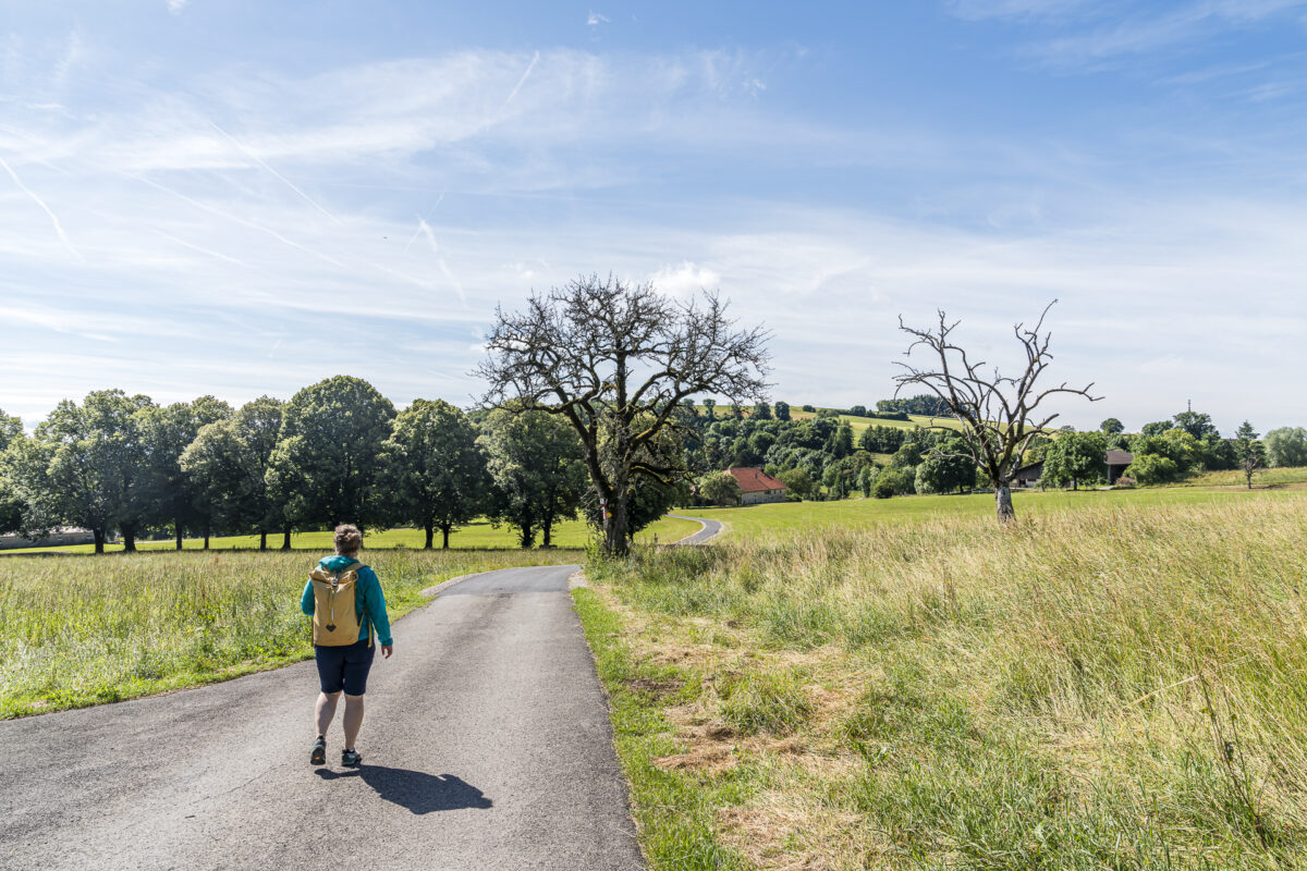 Wanderung ab Saint-George Jura