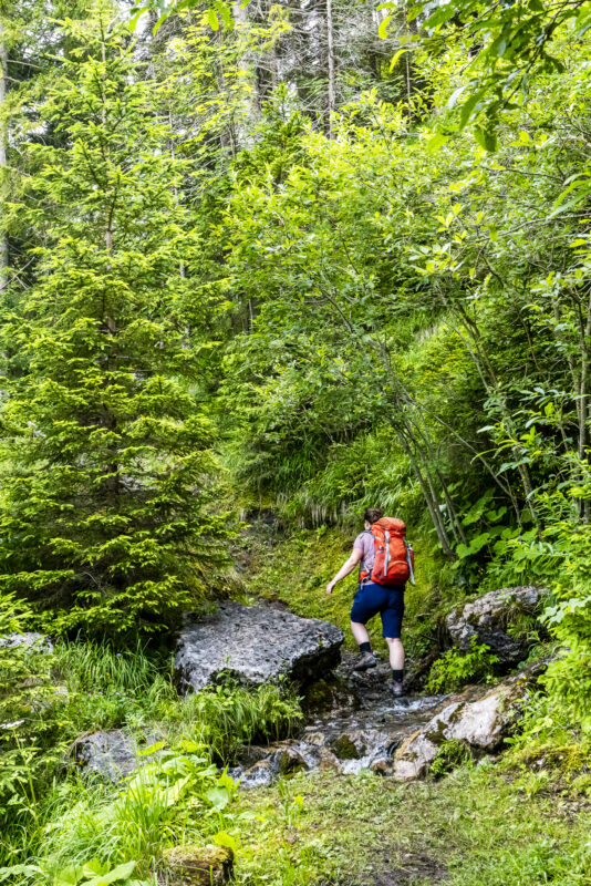 Wanderweg ViaBerna Saxeten - Sienfluh