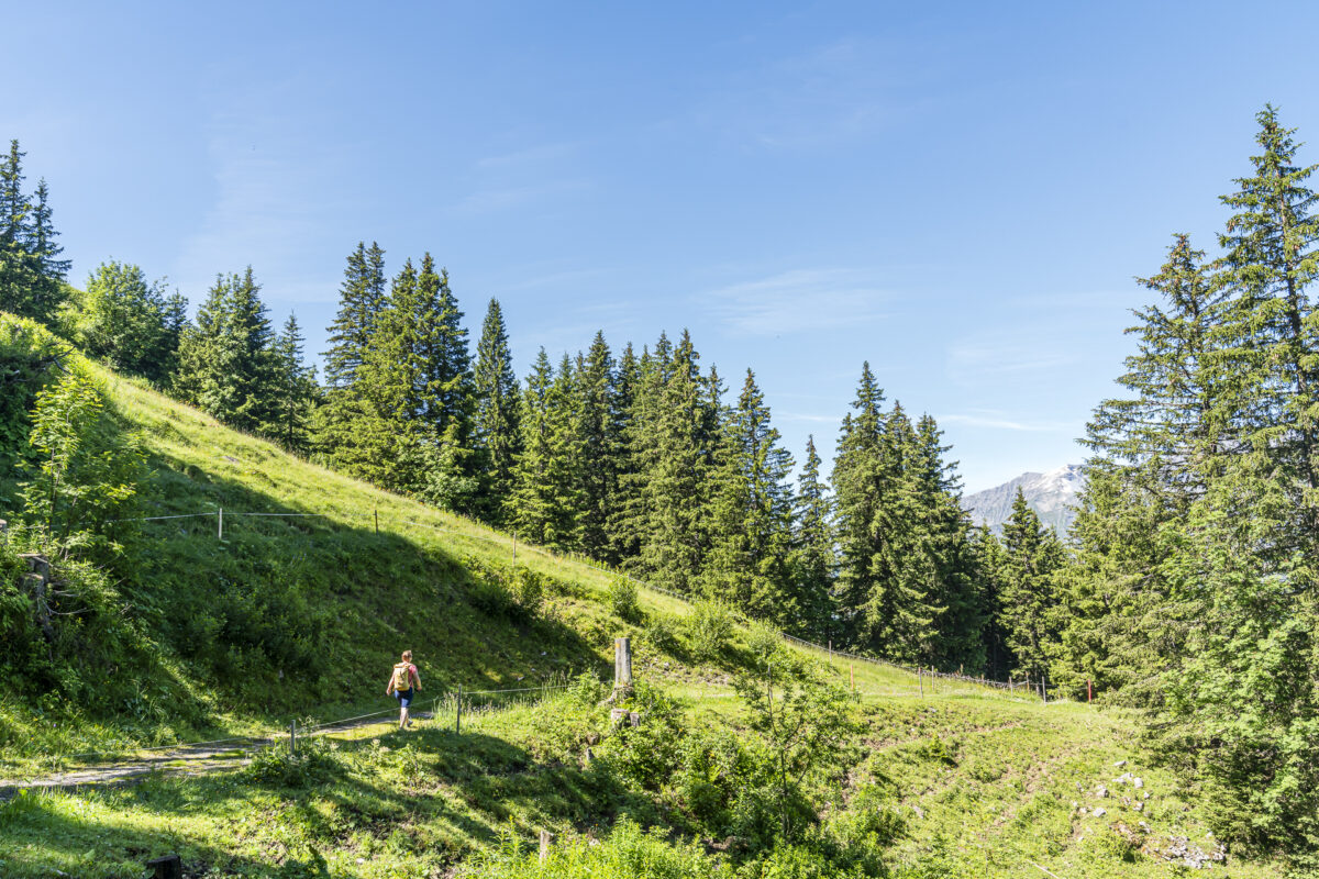 Wandern auf dem Höhenweg Elsigenalp