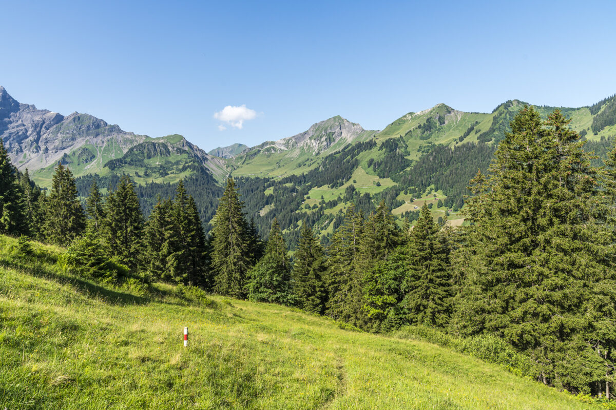 Aufstieg Alp Bällen Saxeten