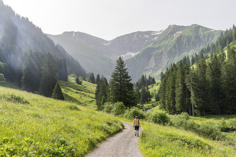 Bergsommer in Oberstdorf