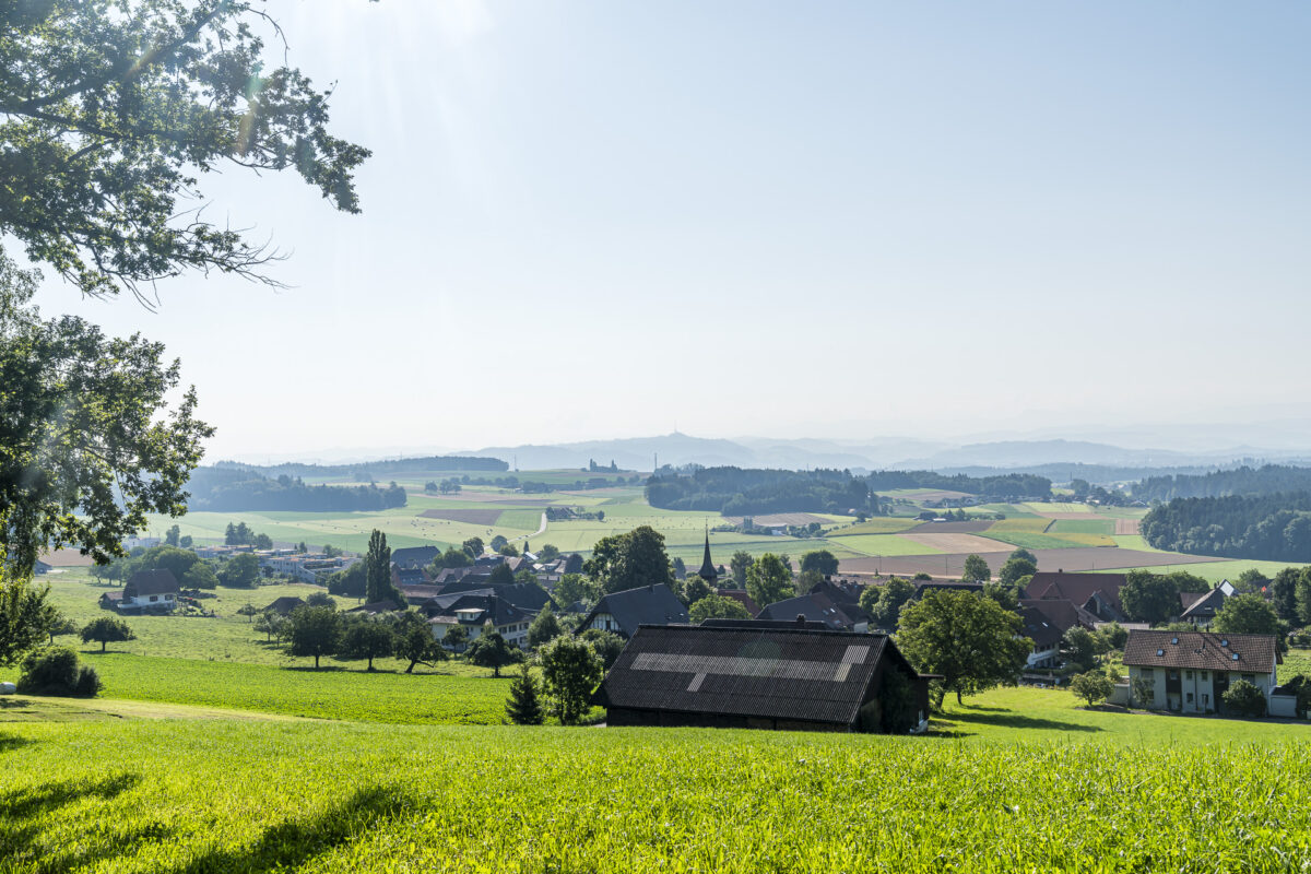 Panoramawanderung Frienisberg