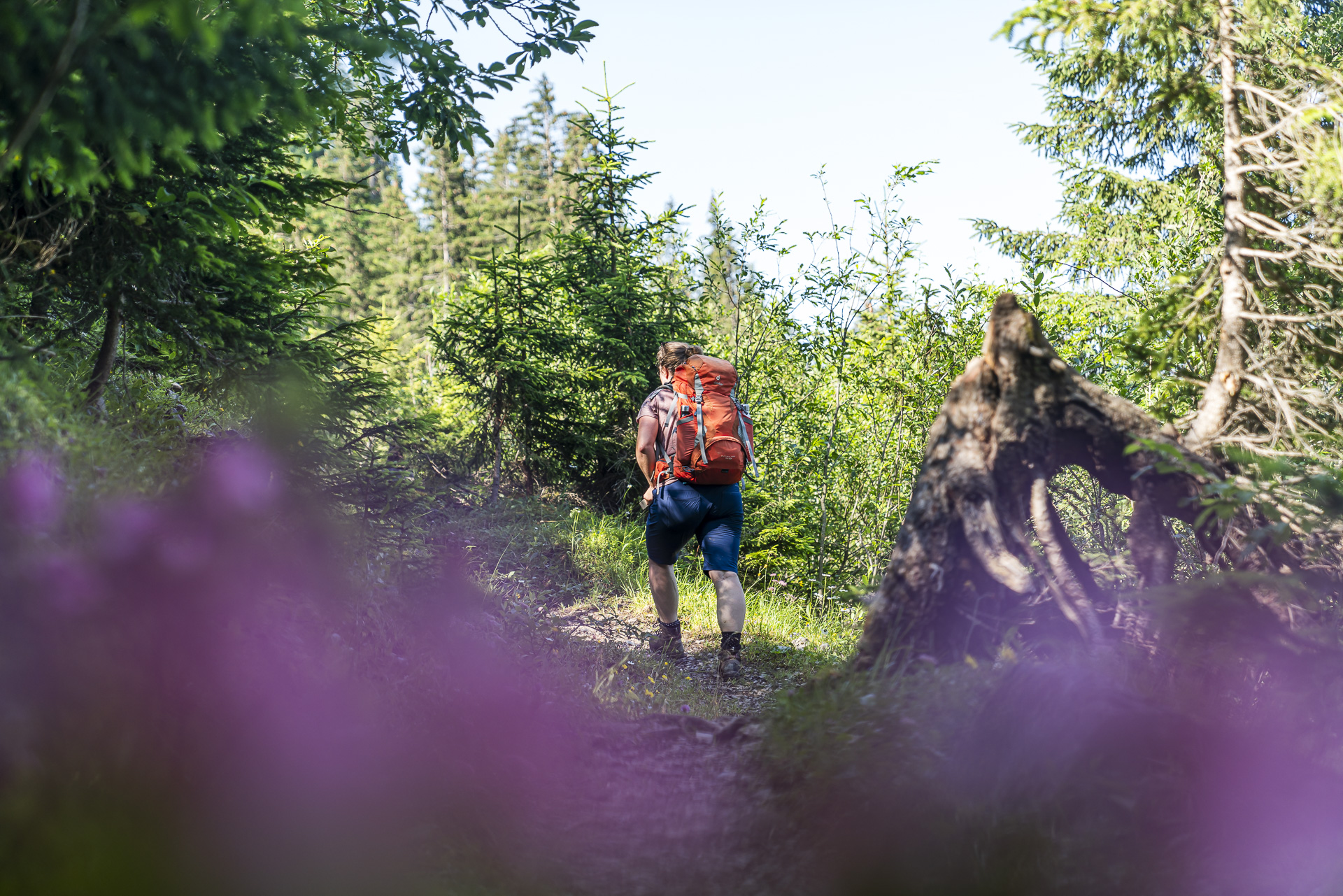 Hiking trail ViaBerna