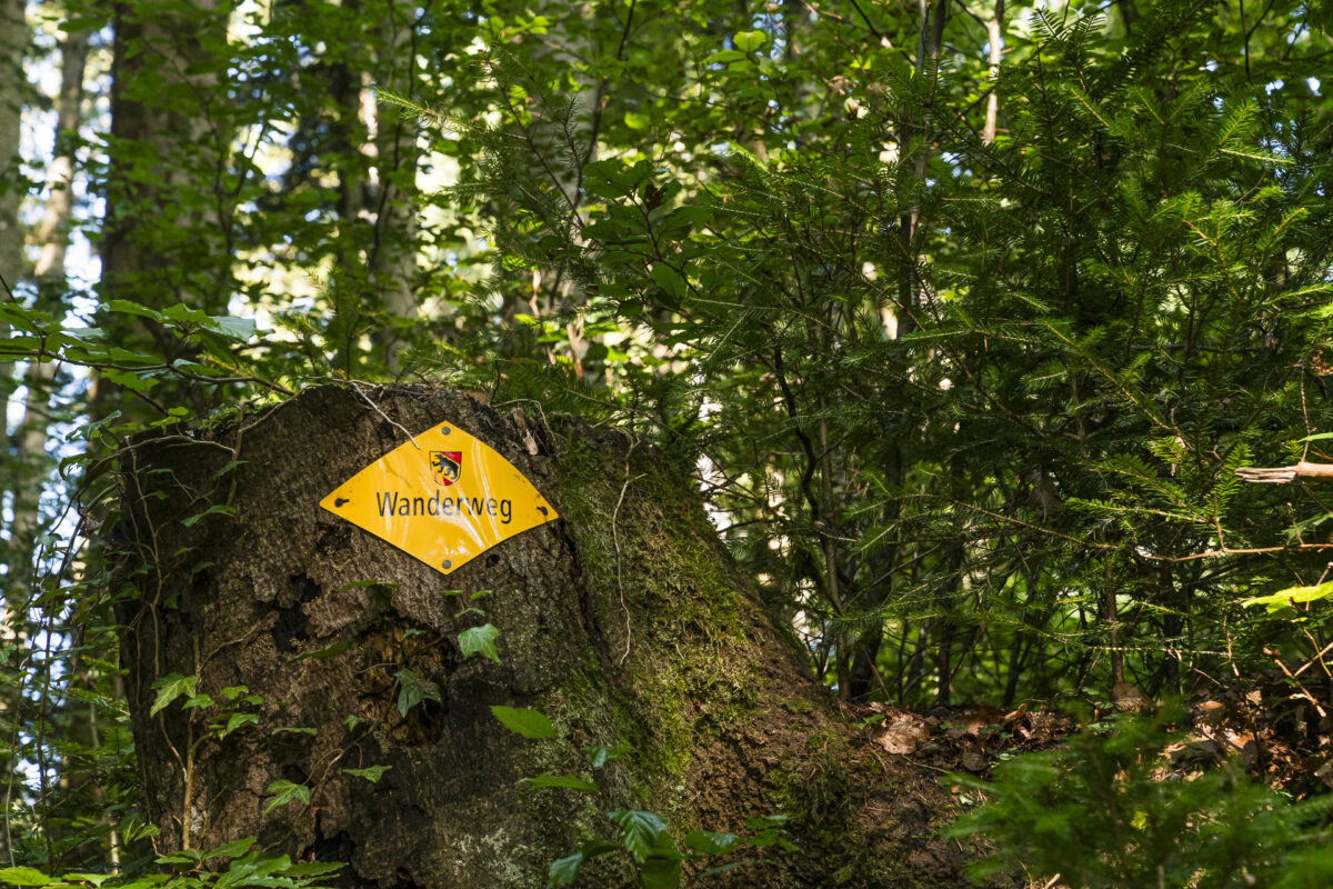 Wegweiser Berner Wanderweg