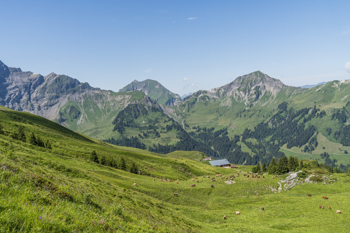 Alp Bällen