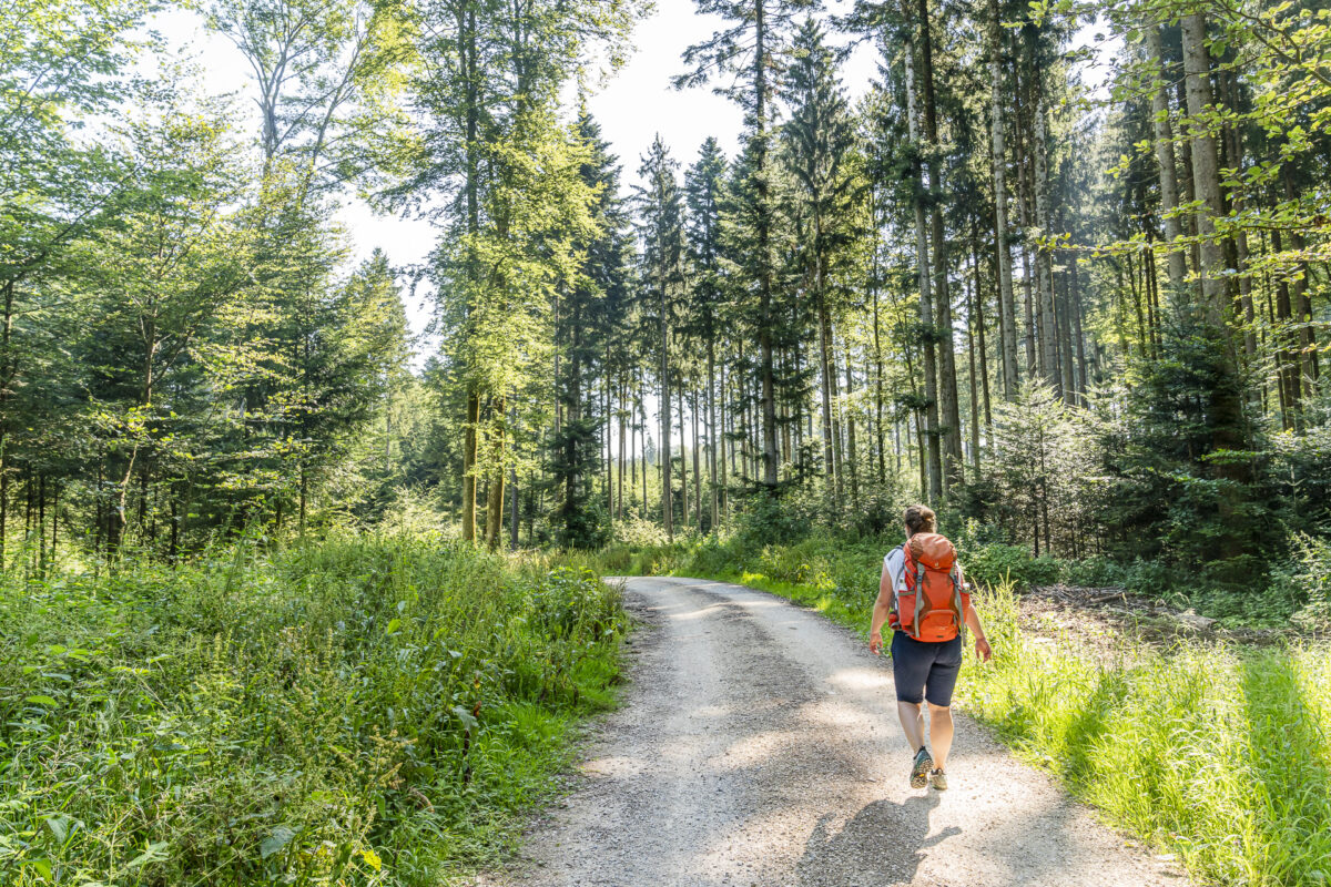 Frienisberg Wanderung