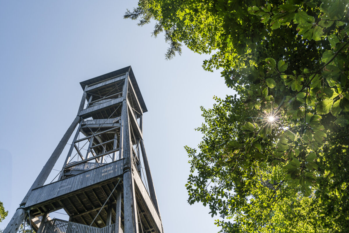 Chutzenturm Aussichtsturm Frienisberg