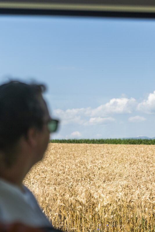 Aussicht Kornfelder