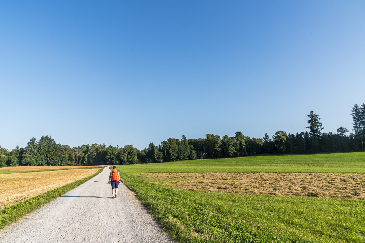 Wanderung zum Loehrwald