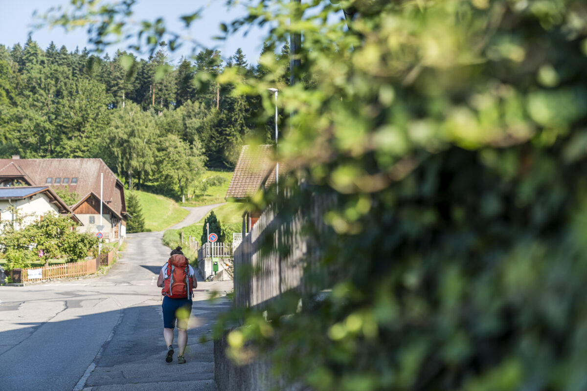 Meikirch Wandern