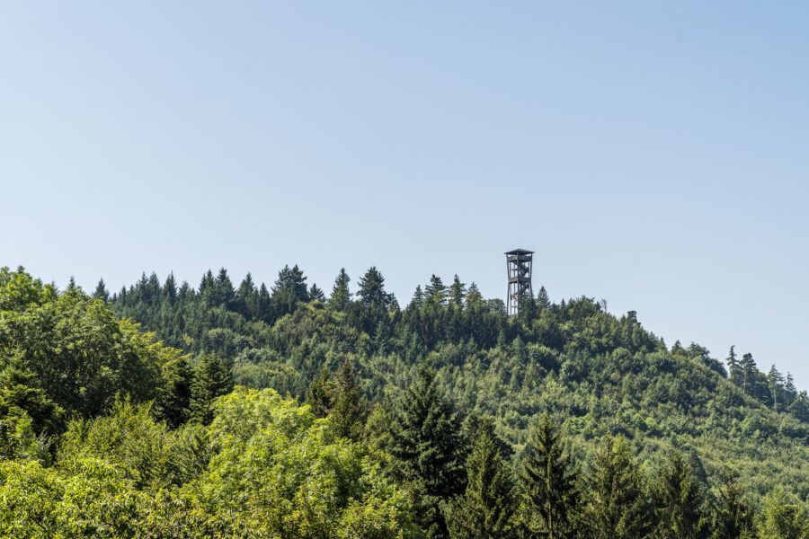 Aussichtsturm Frienisberg