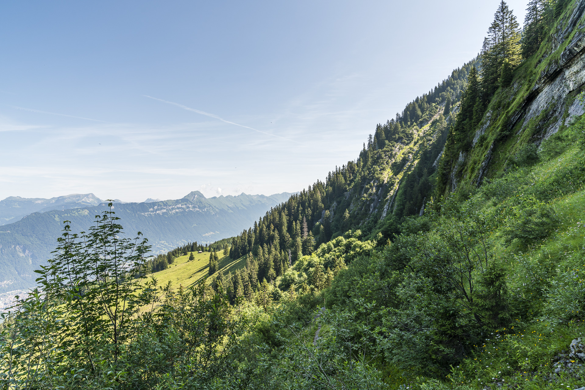 Ascent from Saxeten to Alp Bällen