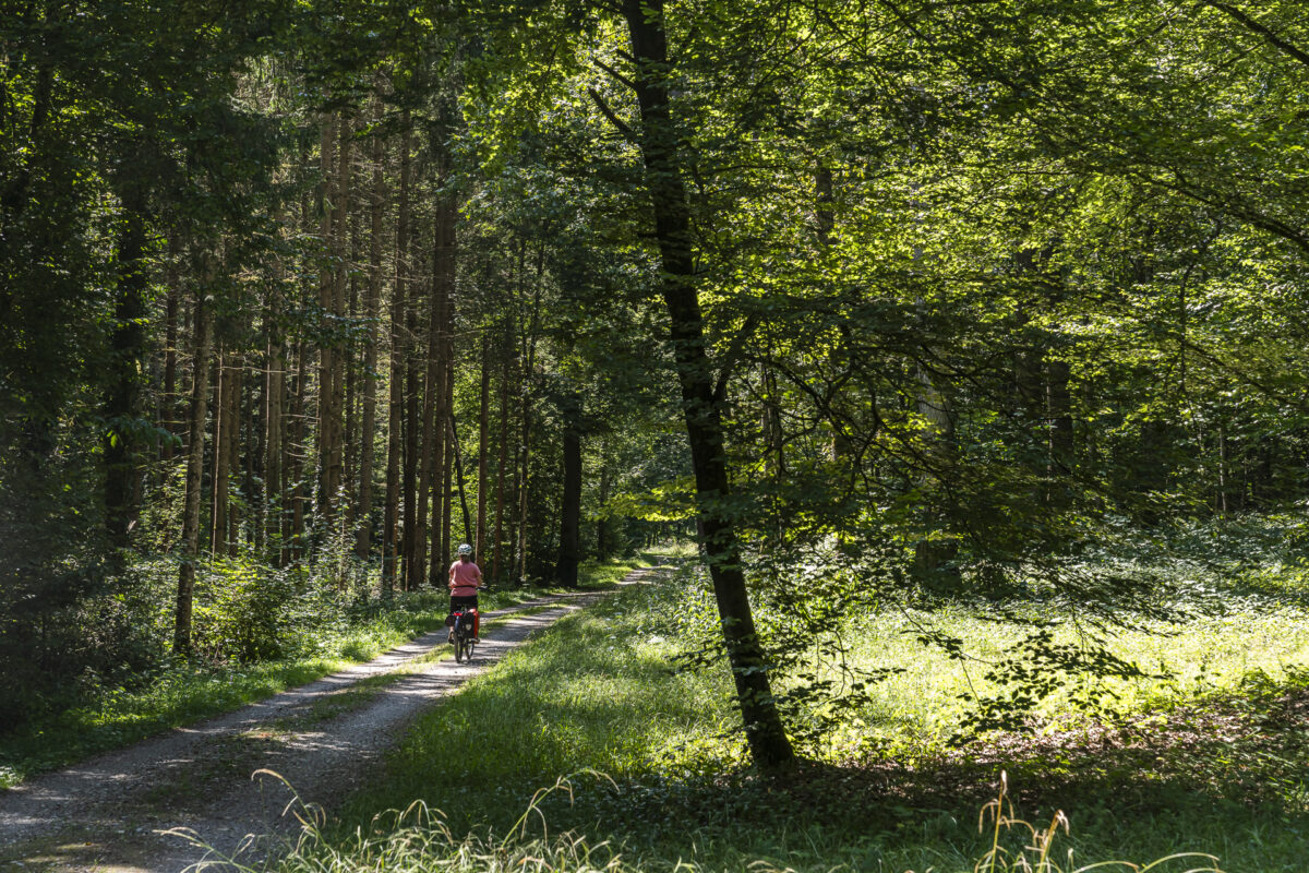 Veloweg Rheinau Flaach