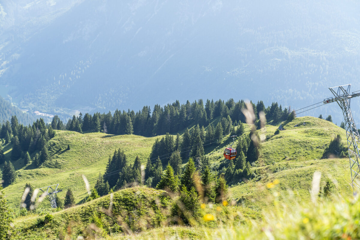 Rinderberg Zweisimmen