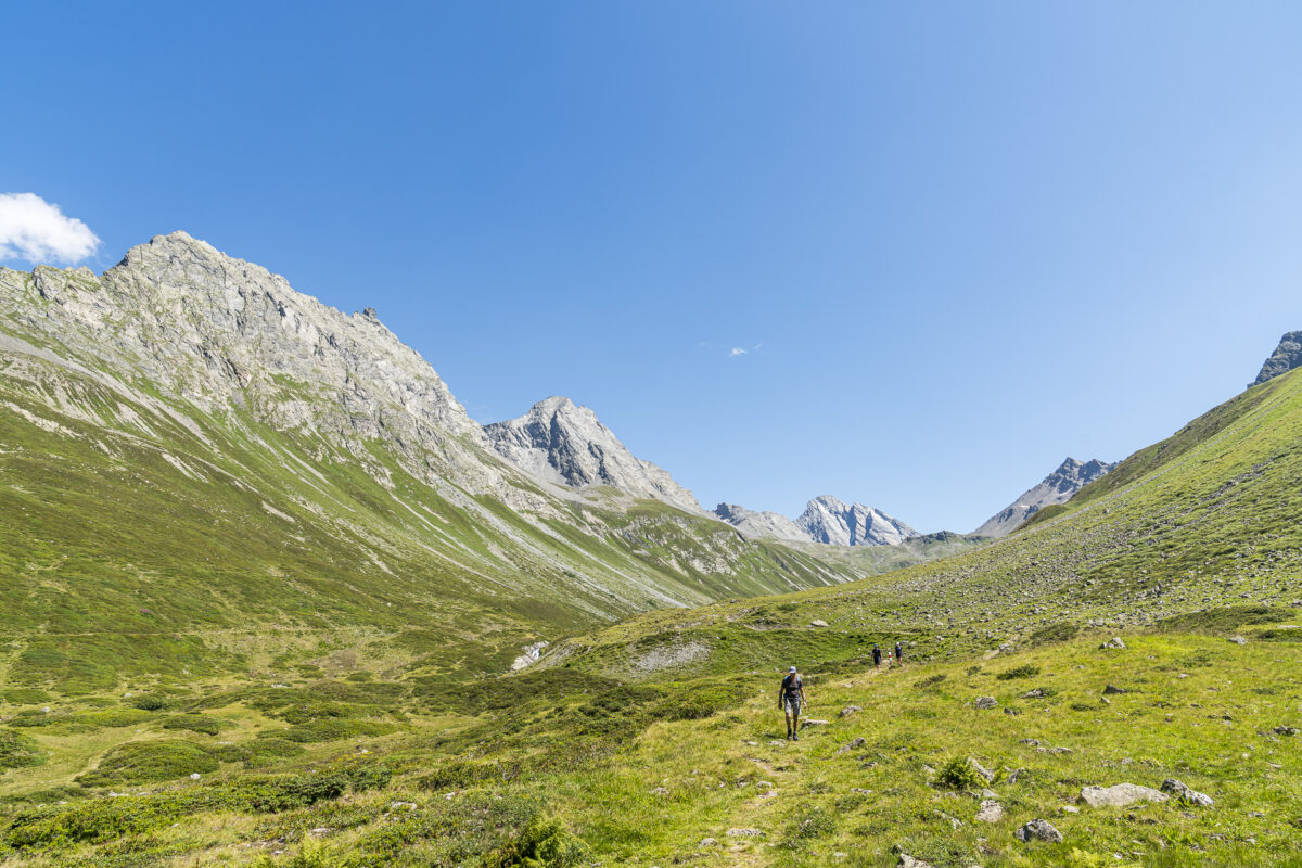 Wandern im Vereinagebiet