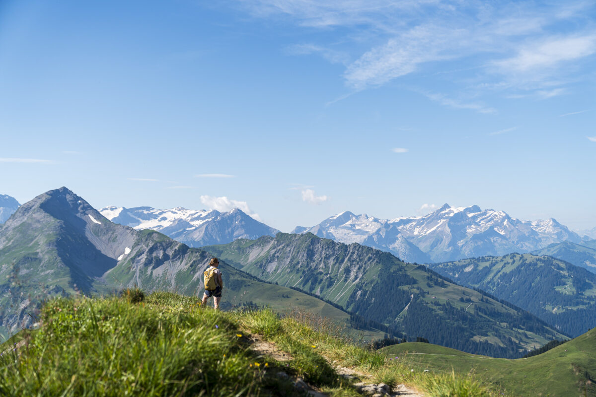 Panorama Rundweg Rinderberg-Hornberg